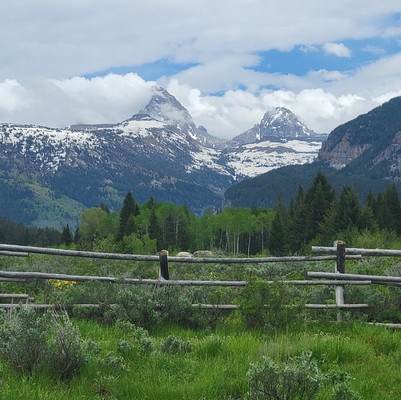 Meet your Posher, Sommer - Picture 3 of 5